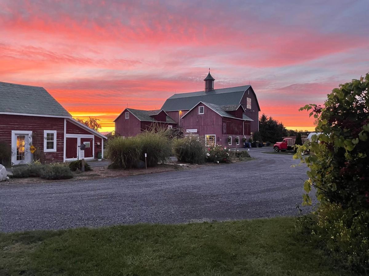 The Eddie Hotel And Farm Bloomfield Bagian luar foto